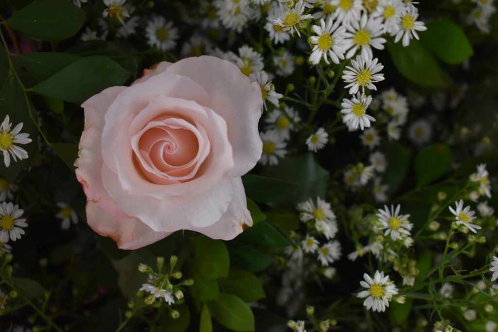 Festejos da padroeira Santa Rita de Cássia, reúne centenas de pessoas de Dourados e região