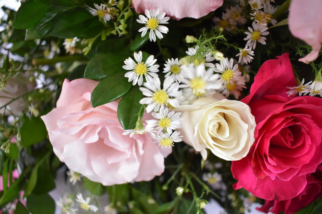 Festejos da padroeira Santa Rita de Cássia, reúne centenas de pessoas de Dourados e região