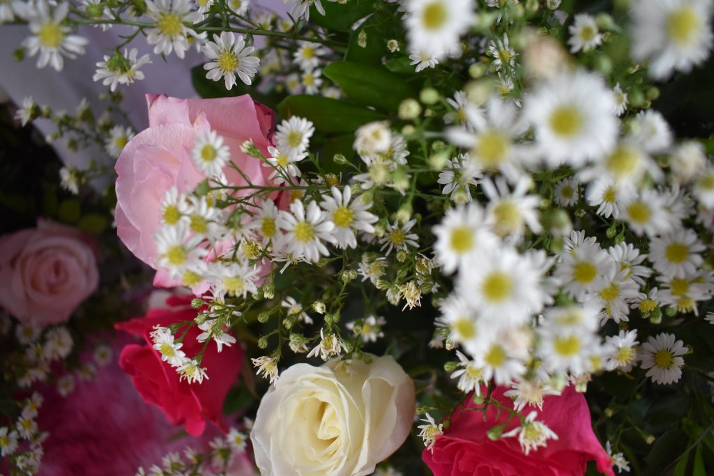 Festejos da padroeira Santa Rita de Cássia, reúne centenas de pessoas de Dourados e região