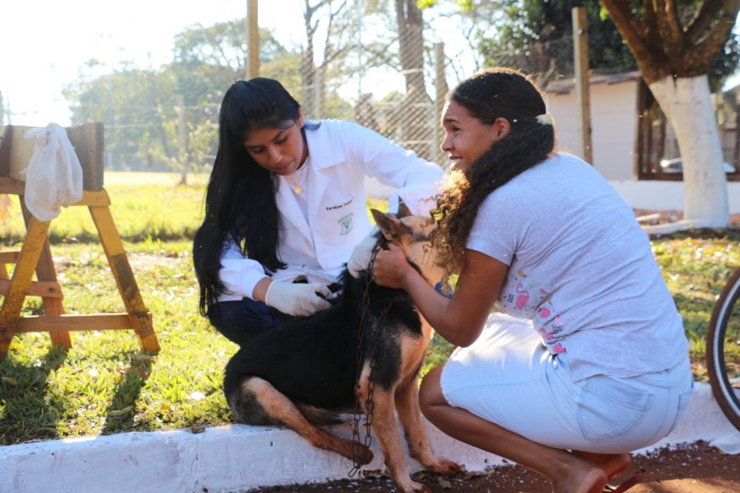 Segundo Veterinário e diretor de vigilância sanitária do município Dr. Paulo Sérgio Farias Vieira, o objetivo da Vigilância Sanitária é vacinar aproximadamente 94% da população de cães e gatos da área rural e sede do município, algo em torno de 5000 animais.