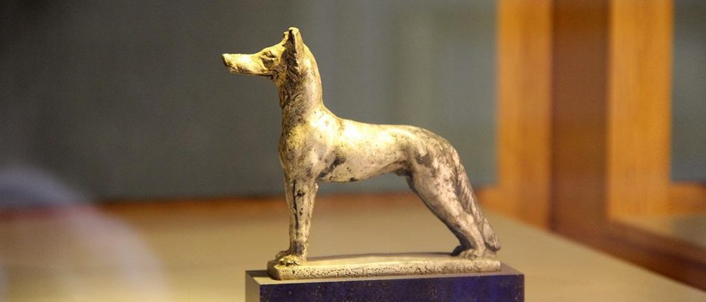 “Pais de pet” e o culto do cão “Pais de pet” e o culto do cão