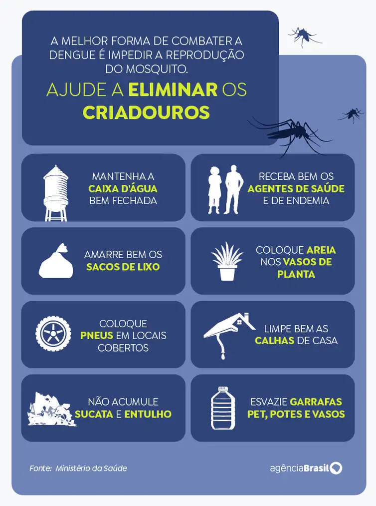Dengue: Aedes aegypti veio para ficar, alerta infectologista Dengue: Aedes aegypti veio para ficar, alerta infectologista