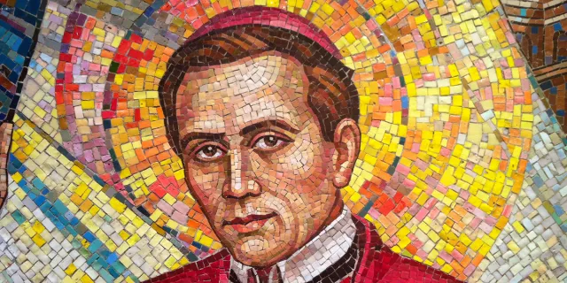 Cada vez que São João Neumann falhava em suas resoluções diárias, ficava frustrado consigo mesmo, pedindo a Deus forças para superar suas imperfeições.