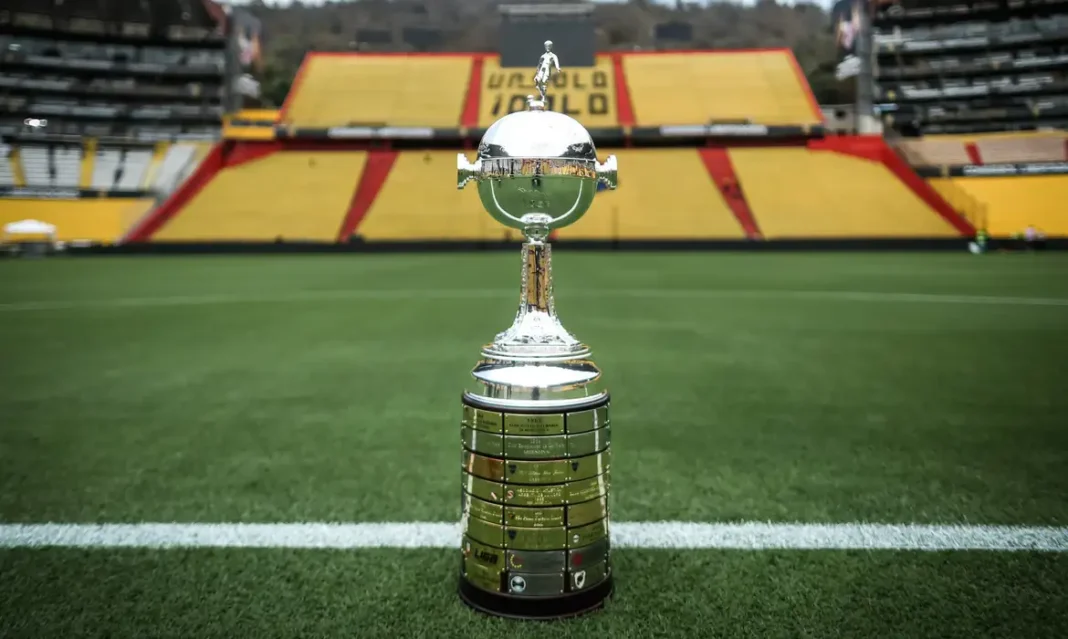 Esta será a primeira oportunidade na qual a Argentina receberá uma final com sede única da principal competição de clubes da América do Sul, após as decisões realizadas em Lima (Peru), no Rio de Janeiro (Brasil), em Montevidéu (Uruguai) e em Guaiaquil (Equador).
