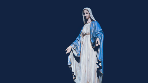A devoção a Nossa Senhora das Graças nasce do infinito amor de Deus que, por meio de Maria, visita o Seu povo para oferecer proteção, luz e abundância de graças