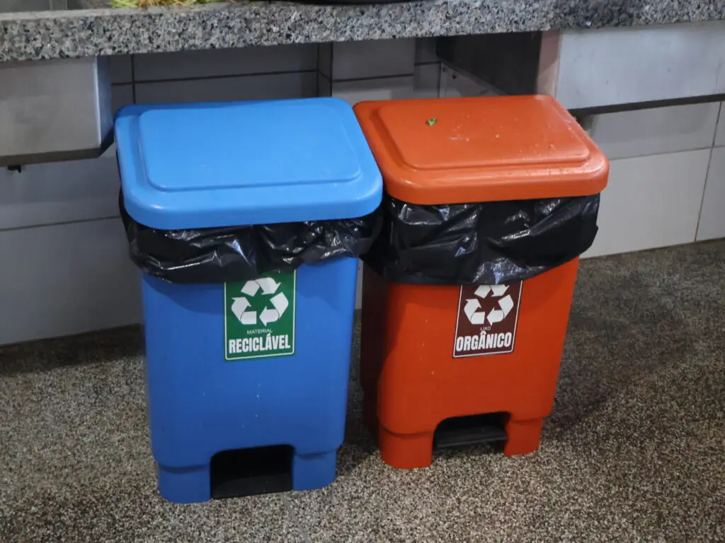 Dia de Oração Pela Criação: Escola em Dourados desenvolve projeto com apoio do Fundo Nacional de Solidariedade Dia de Oração Pela Criação: Escola em Dourados desenvolve projeto com apoio do Fundo Nacional de Solidariedade